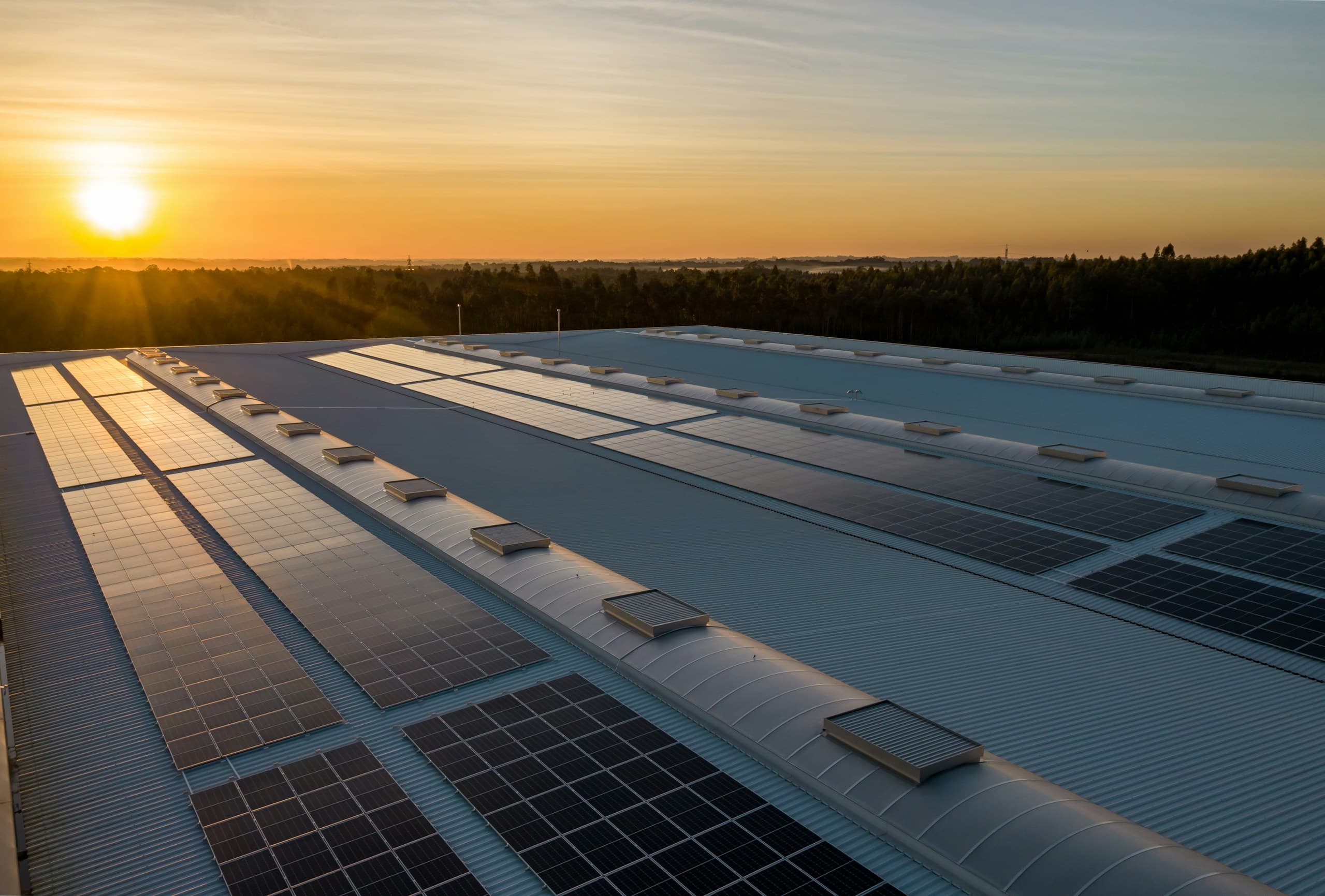 Solar panel array at sunset